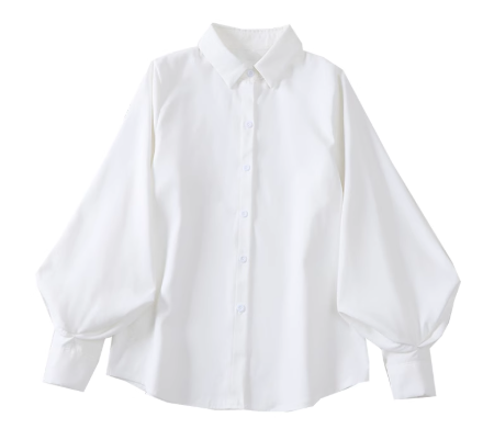 [274]MS Women's 2025 Spring Collection Korean Style Loose Fit Slimming Puffed Sleeves Layered Elegant Top