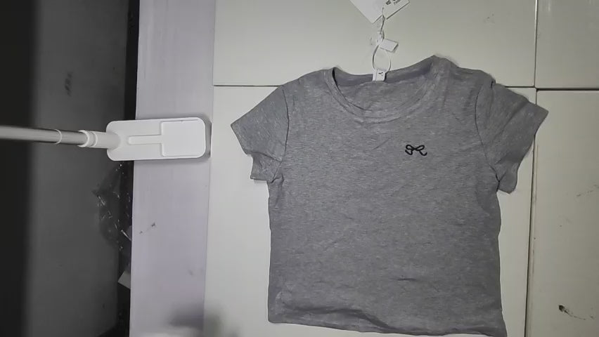 [321]MS Nanyou Shenzhen Light Luxury High-End Products Gray Short Sleeve Crew Neck T-Shirt Women Summer Unique Extremely Stylish Top Trendy