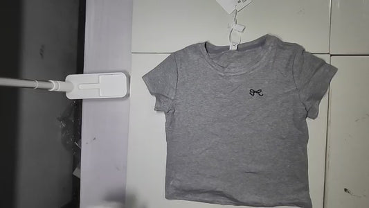 [321]MS Nanyou Shenzhen Light Luxury High-End Products Gray Short Sleeve Crew Neck T-Shirt Women Summer Unique Extremely Stylish Top Trendy